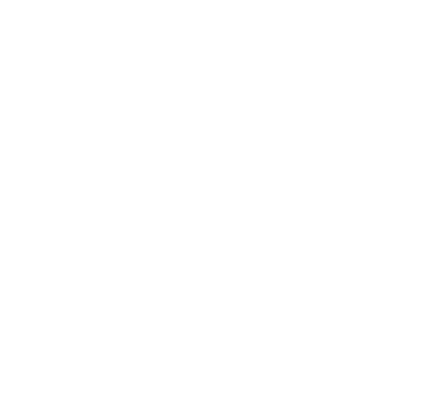 Orchestra Maldestra
